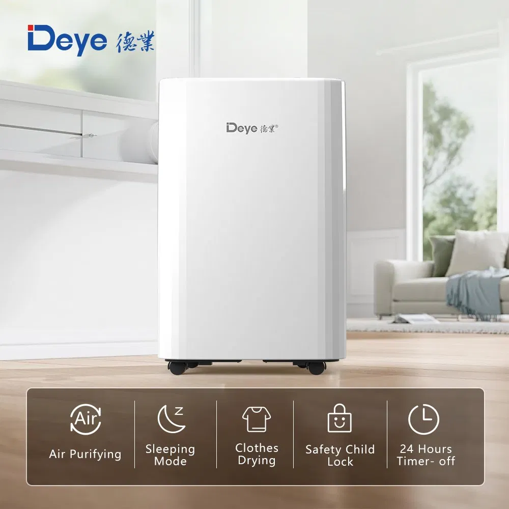 Deye Dyd-A12A Small Home Air Dehumidifier with Ionizer