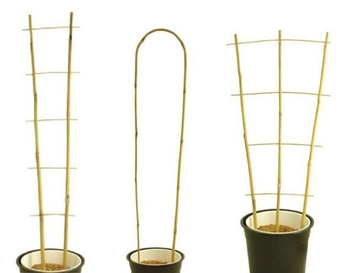 Bamboo Cane Plant Pot Trellis Fan Garden Flower Support Frame