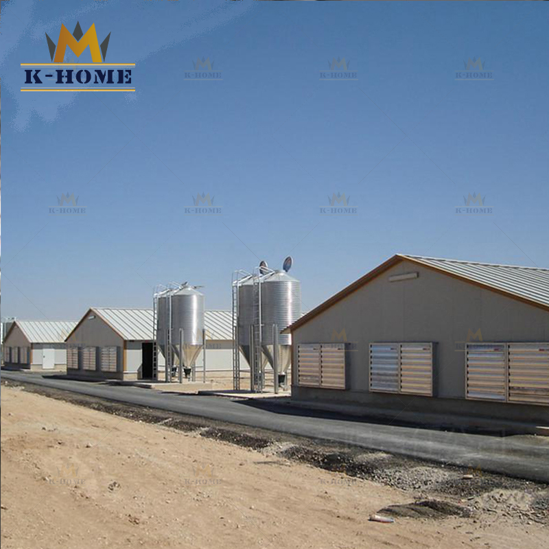 Cheap Chicken Layer House Steel Structure Poultry Farm for Sale