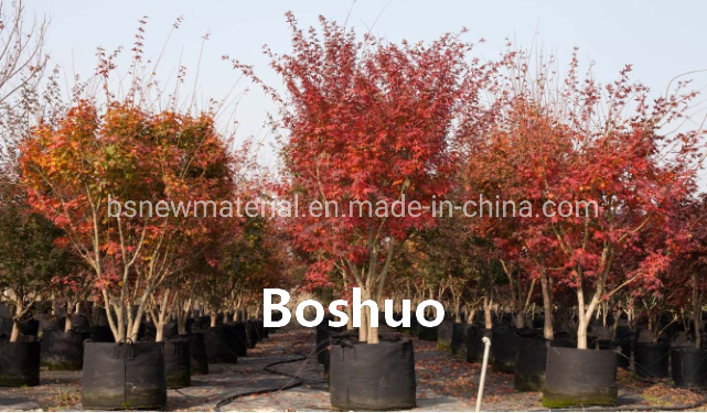 5 6 7 10 15 20 25 30 Gallon Nonwoven Geo Textile Fabric Felt Potato Tomato Peanut Pepper Garlic Yam Vegetable Garden Gt Plant Seedling Grow Bags China Supplier