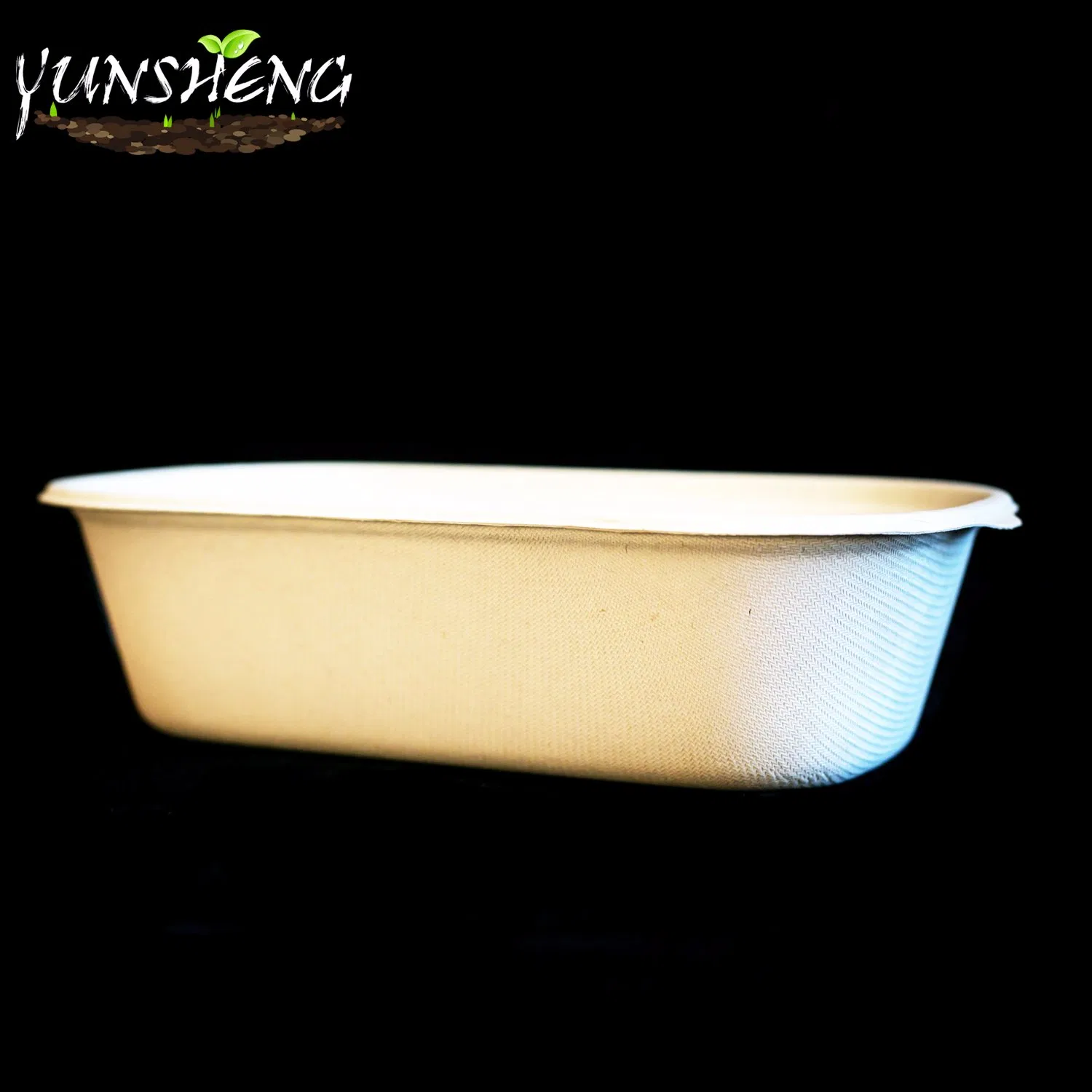 Disposable Biodegradable to Go/Take out/Bio/Compostable/Take Away/Eco Friendly Food Containers Bagasse Wheat Straw Pulp