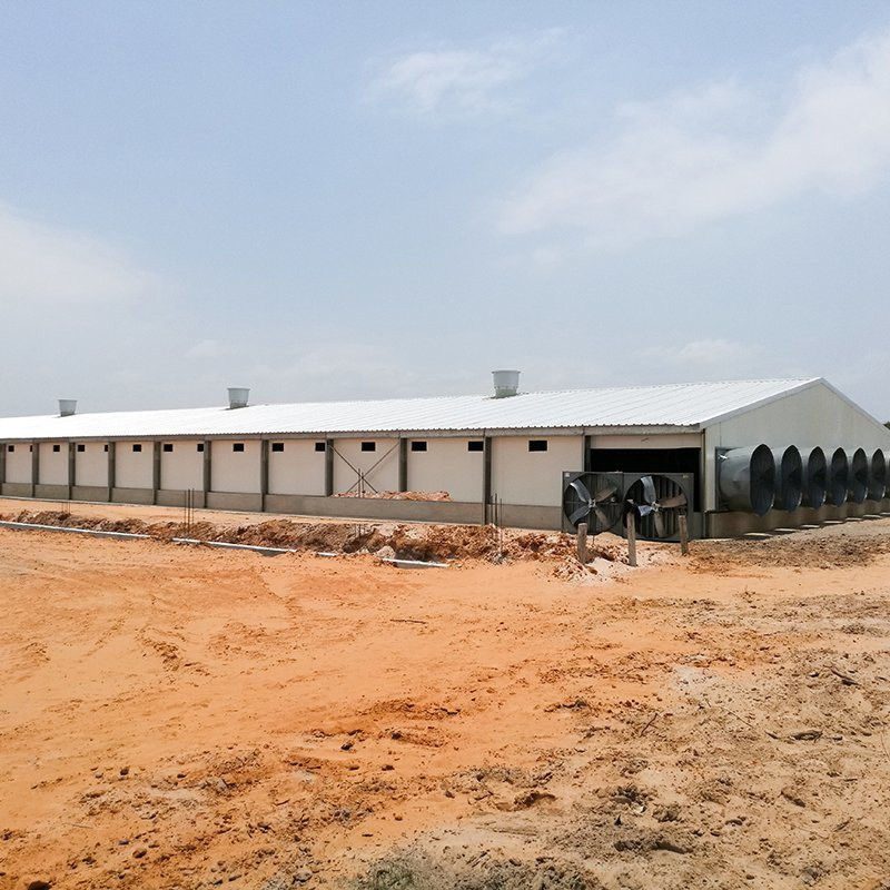 Customized Prefabricated Steel Structure Poultry Farm House Chicken House