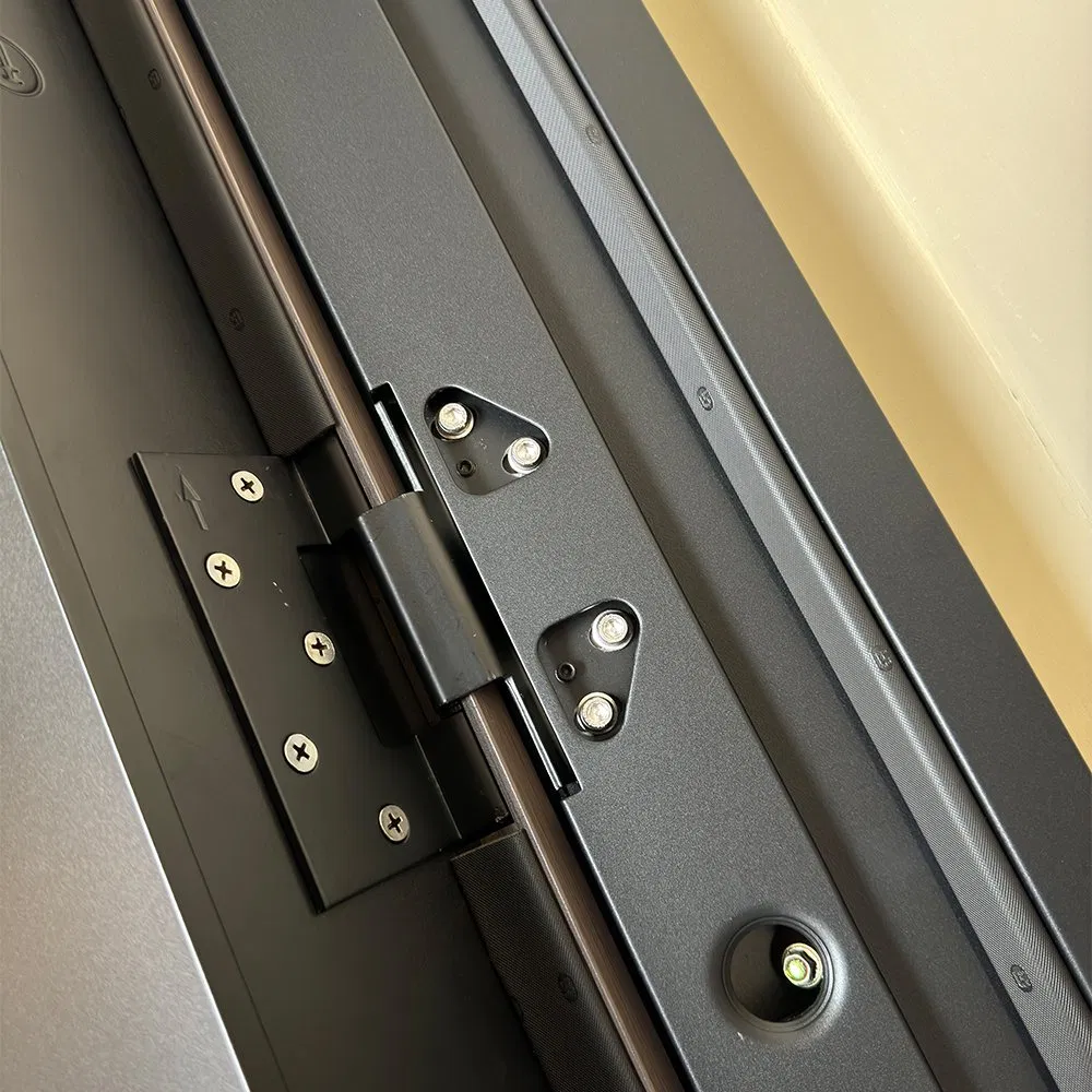 Zinc Alloy Construction Modern Iron Steel Security Door Class a Certified with Biometric Access