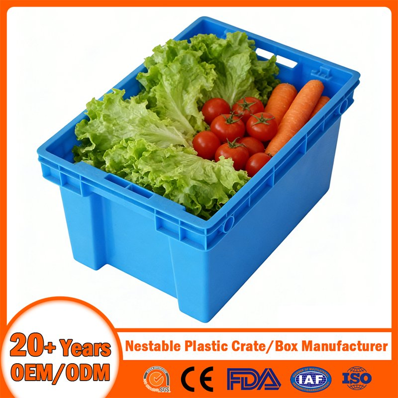 China Plastic Crate Manufacturer Stackable Tote Folding Nestable Storage Mesh Crate for Logistic/Moving/Turnover/Agriculture/Seafood/Vegetable/Fruit/Bread/Lobst