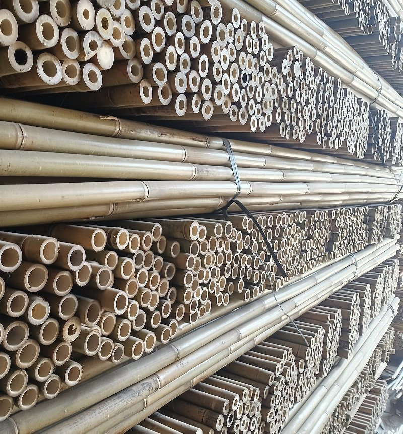 Tonkin Bamboo Pole, Cane, Stick, Stake Is The Best Bamboo Cane