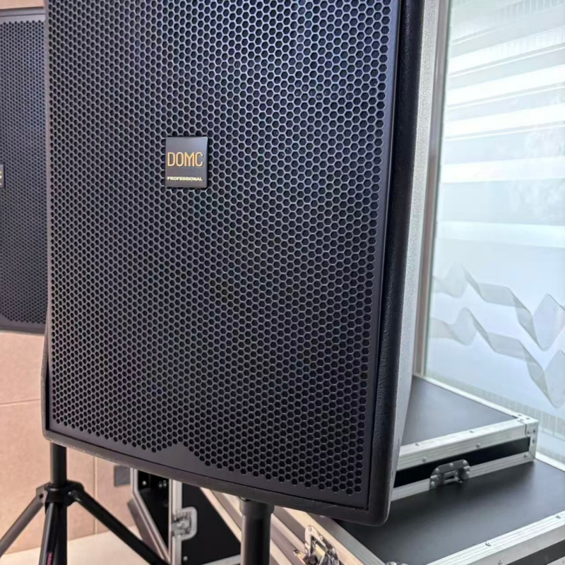 10-Inch Domc K210 Speaker, 300W AES, 1200W Peak Power Handling