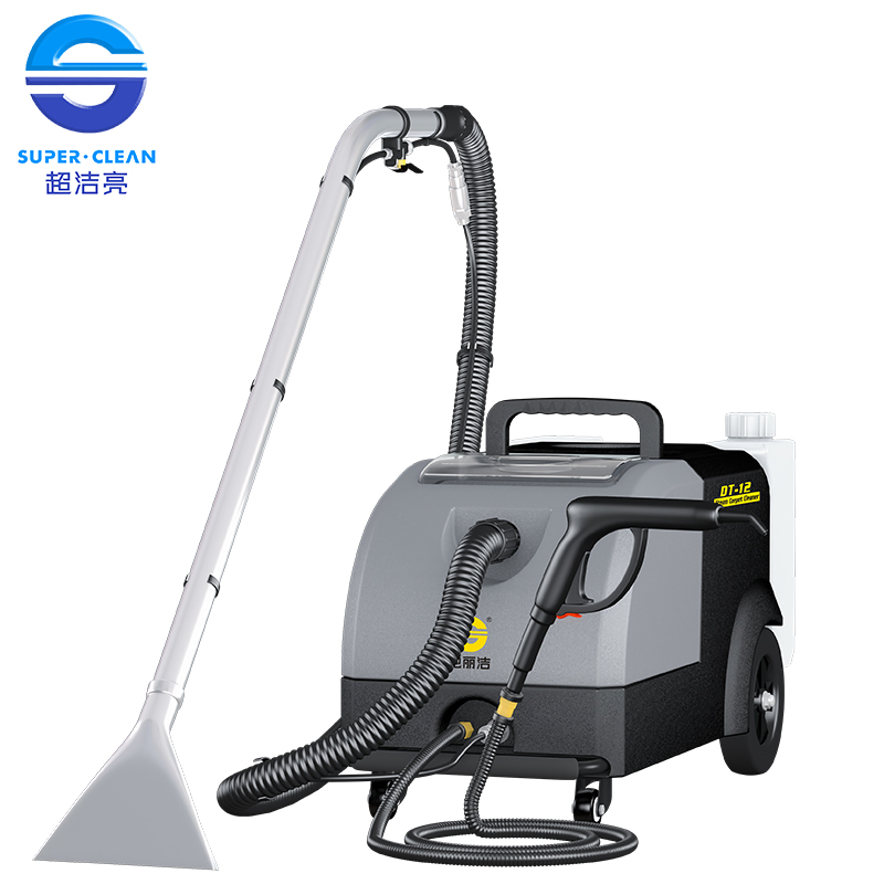 Commercial Steam Cleaning Machine for Sofa/Curtain/Car