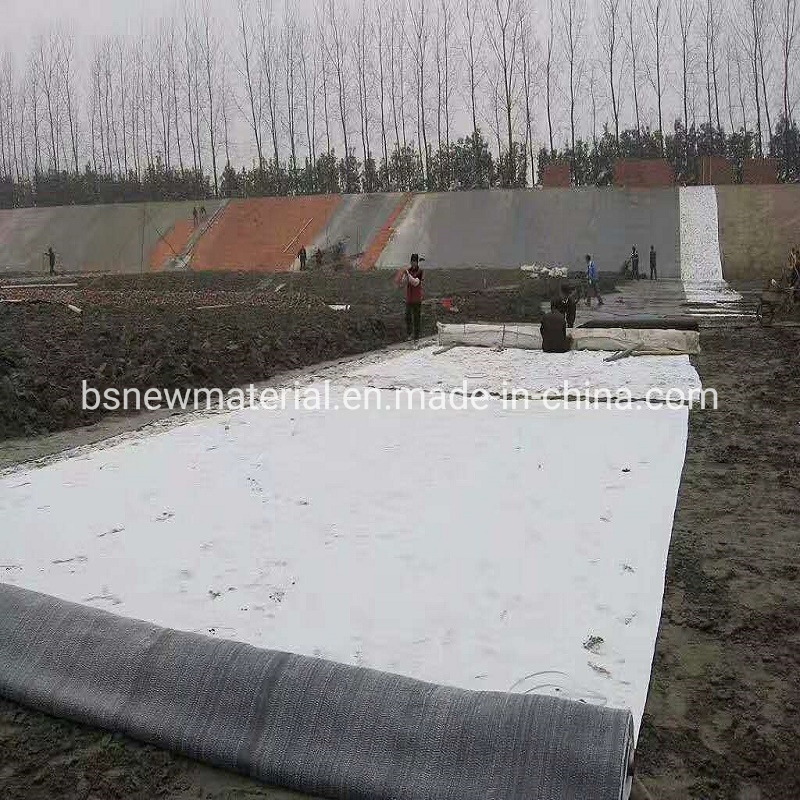 Geotextile with Bentonite Gcl Blanket Good Price