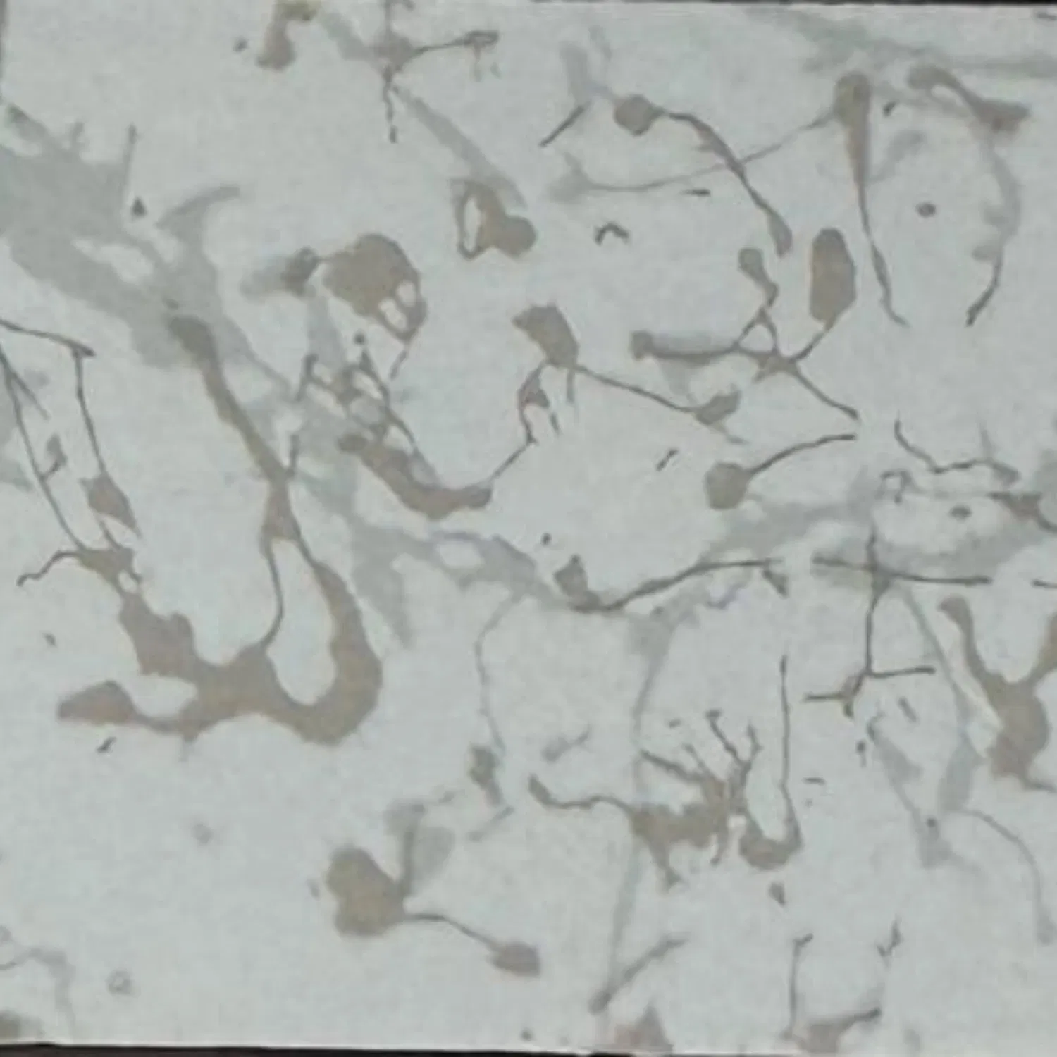 Surface Resistance Flexural Strength Properties Conductive Anti-Static Lamninate HPL