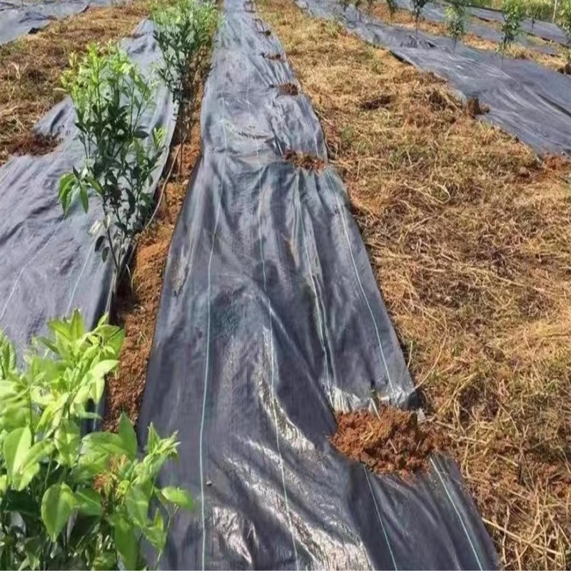 Premium Non-Woven Geotextile Mat for Gardening and Agriculture
