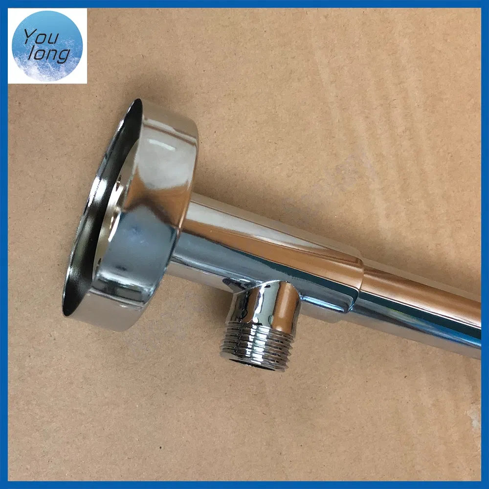 Stainless Steel Round Shower Arm with Brass Extension Tube