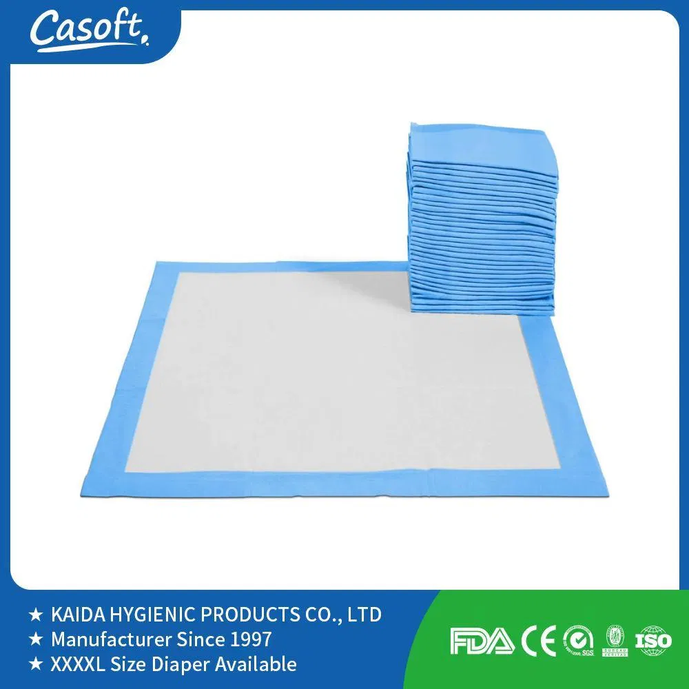 Wholesale Casoft Leak Proof 60X90 Large Dog Pads XL 6 Players Disposable Puppy Training Pet Poop Pad Pet Supplies PEE Pad Philippines Russia China Us Malaysia