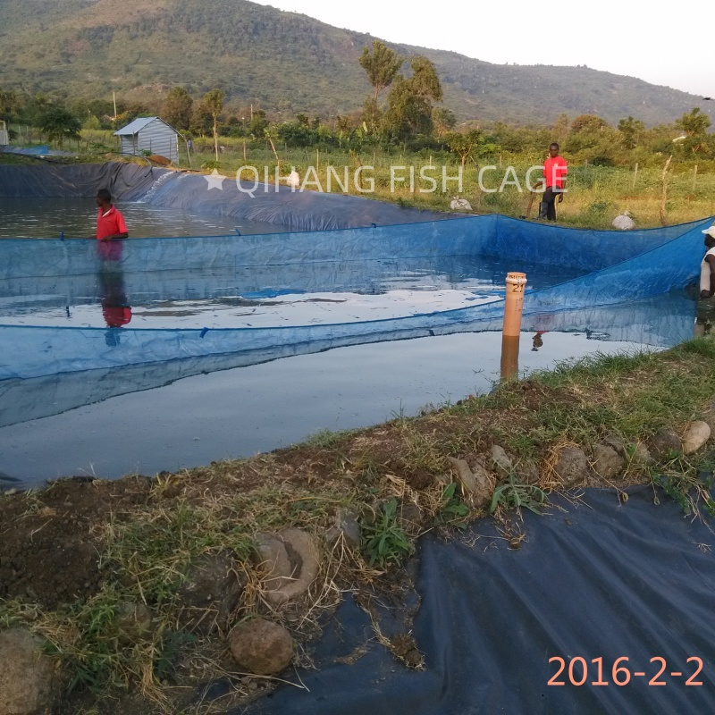 Premium HDPE Pond Liner for Effective Water Containment Solutions Geomembrane