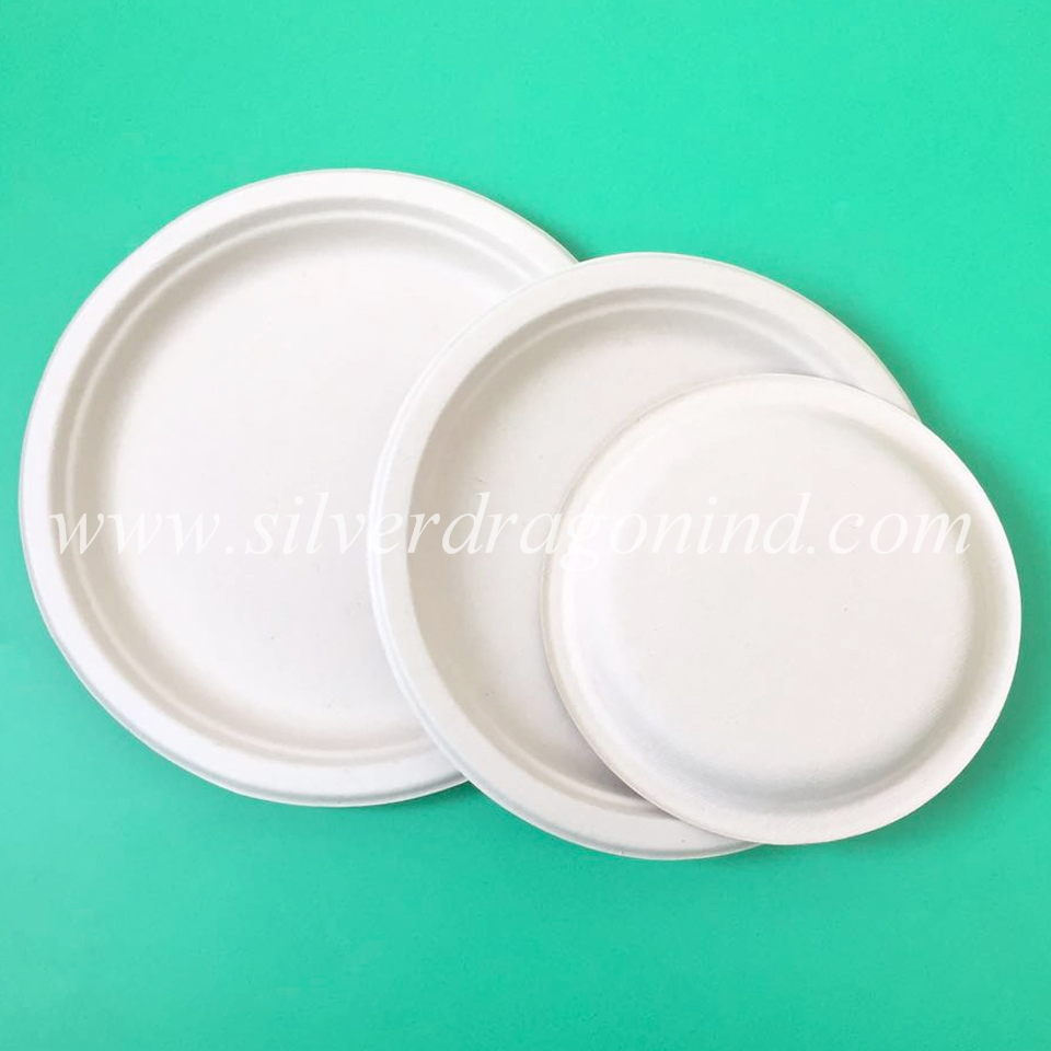 Biodegradable Disposable Sugarcane Pulp Containers (including Plates, trays, bowls and boxes)