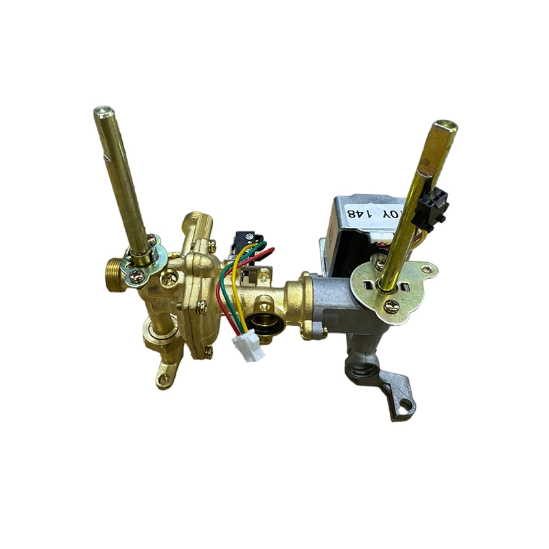 Stable Gas Water Heater Brass Valve Spare Parts
