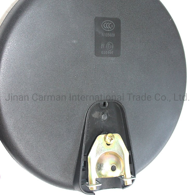 Down Mirror Assembly for Sinotruk HOWO A7 T7H Cab