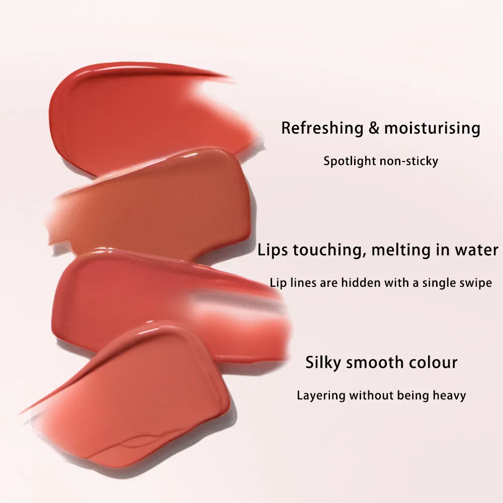 Enchanting Words Hydrating Essence Lip Gloss Lipstick OEM ODM