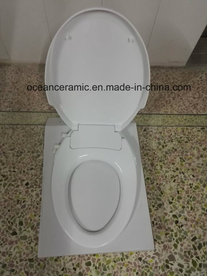 Ts-1002 Elongated Toilet Seat, Non-Electronic Bidet Seat Cover for American V-Shape Toilet
