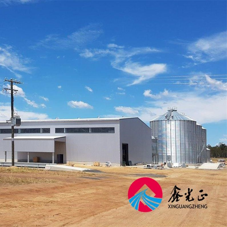 Broiler/Breeder/Layer/Egg Installation Hatchery Construction Steel Structure Shed Automatic House