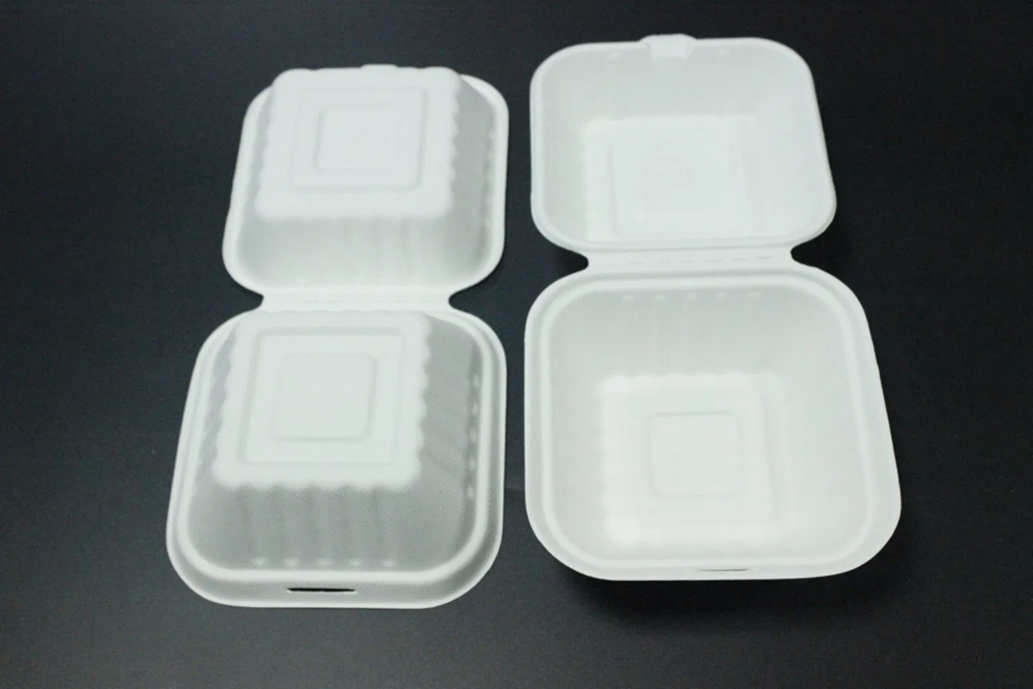 Chinese Factory Food Grade Sugarcane Pulp Box for Lunch and Snack Fried Noodles