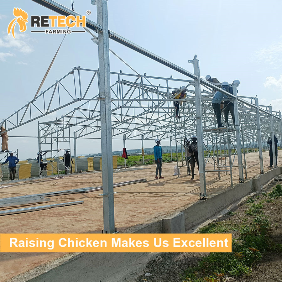 Structural Steel Chicken Cage Coop House and Poultry House in Chicken Poultry Farm