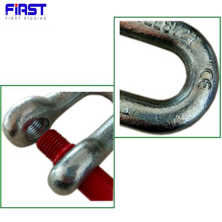 Us Type G210 Carbon Steel Forged Dee Shackle for Chain Lifting