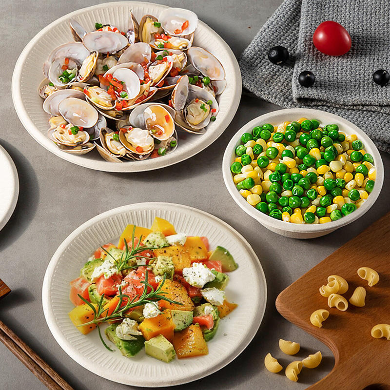 Custom Printed Biodegradable Plate for Restaurant and Catering Use