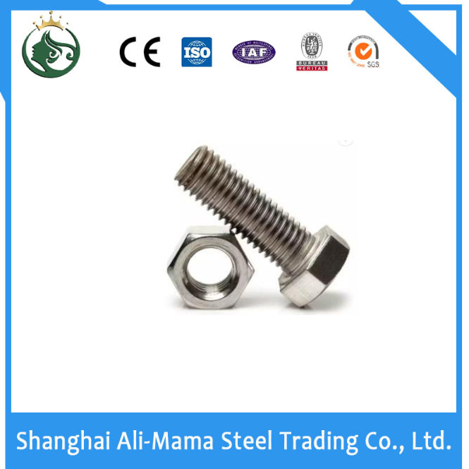 Structural Material Stainless Steel Nut Grade 4.8/8.8/10.9/12.9 China Supplier