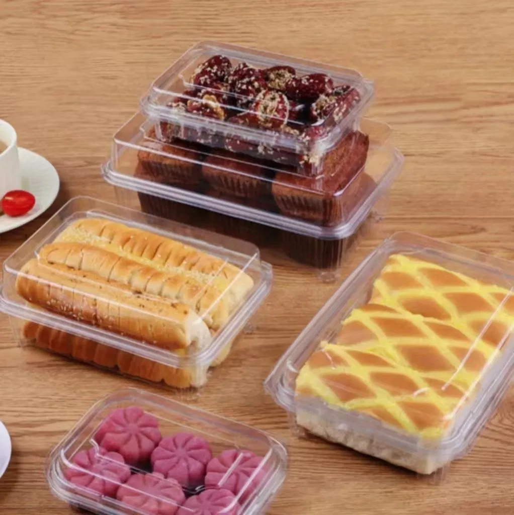 Clear Pet Plastic Dessert Container Dome Lid Bakery Cake Puffs Pastry Box