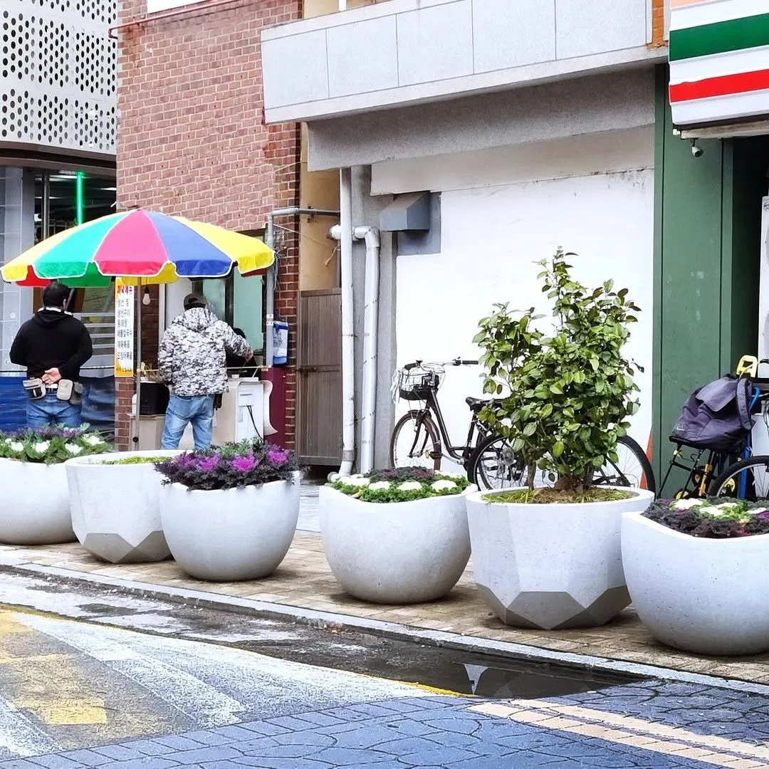 Modern Minimalist Concrete Flower Pots - Preferred Containers for Outdoor Greenery