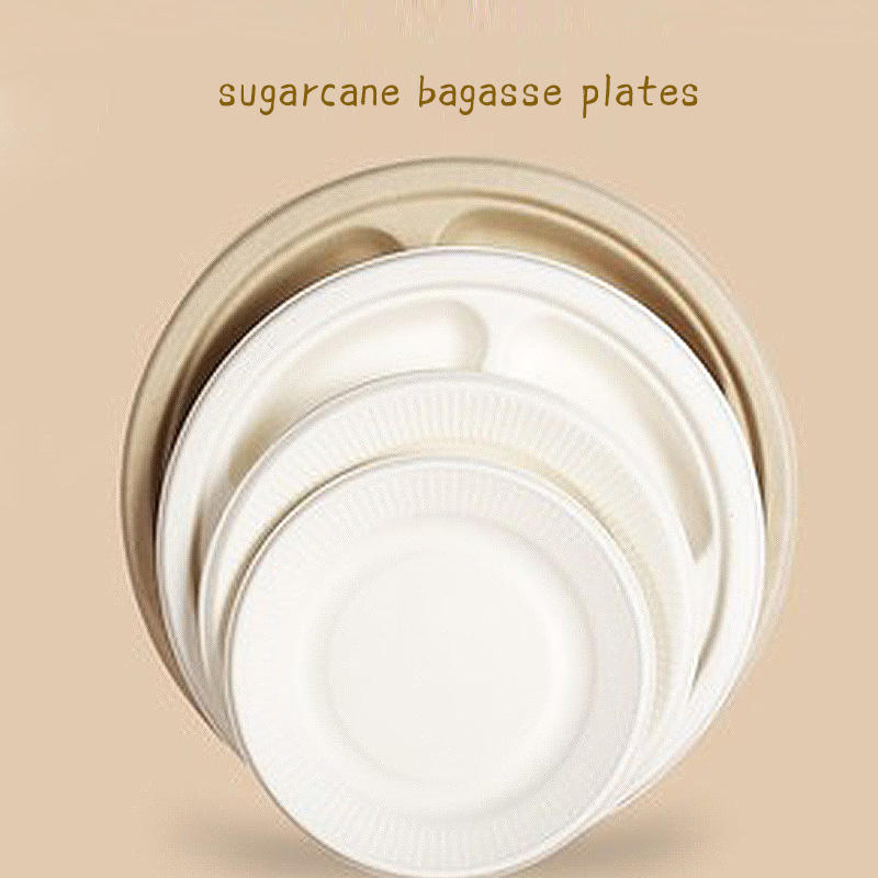 Custom Printed Biodegradable Plate for Restaurant and Catering Use