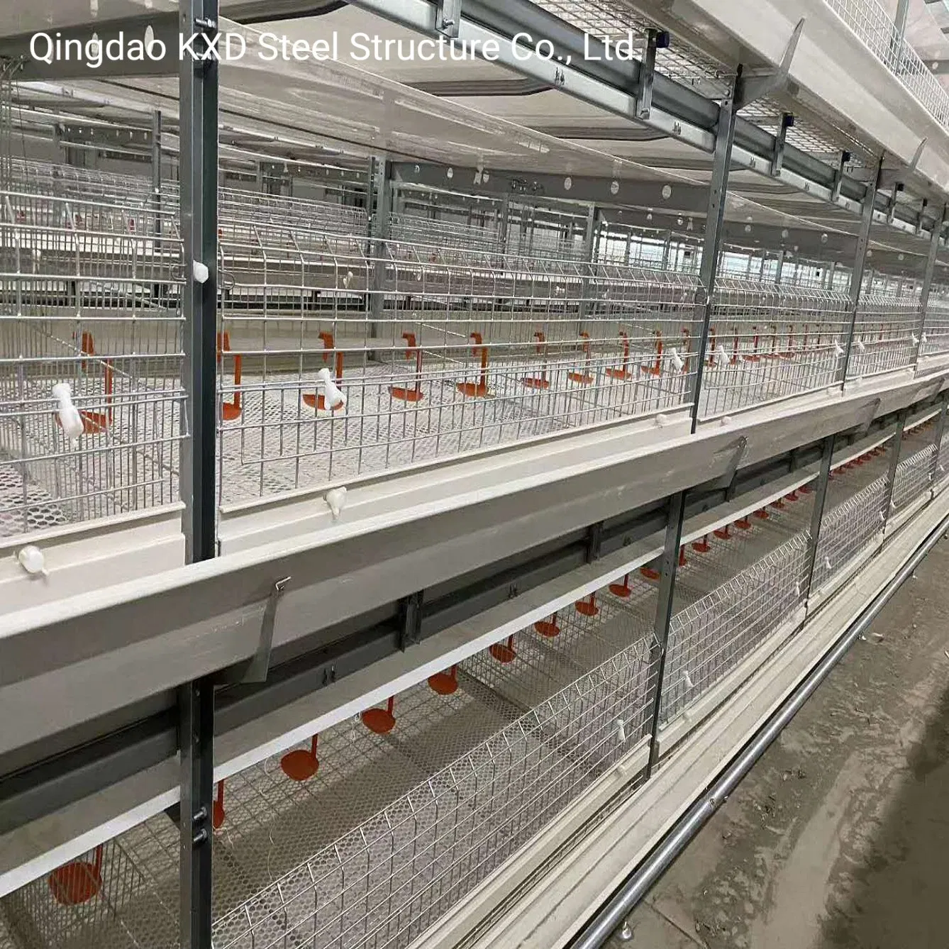 Automatic Equipment Metal Cage Steel Structure Broiler Chicken Poultry House