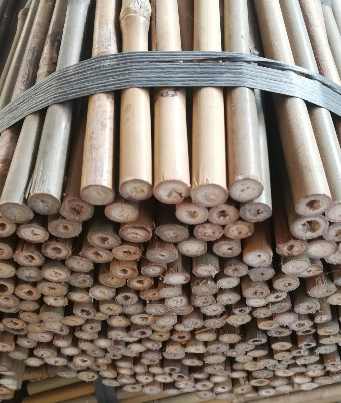 Bamboo Raw Materials Bamboo Cane Bamboo Pole for Plant