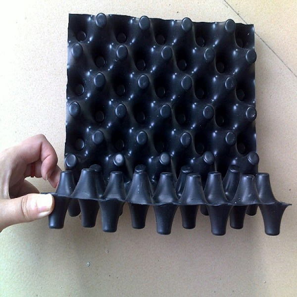 Green Roof and Water Proof Wall Drainage Boards Composite Dimple Geomembrane