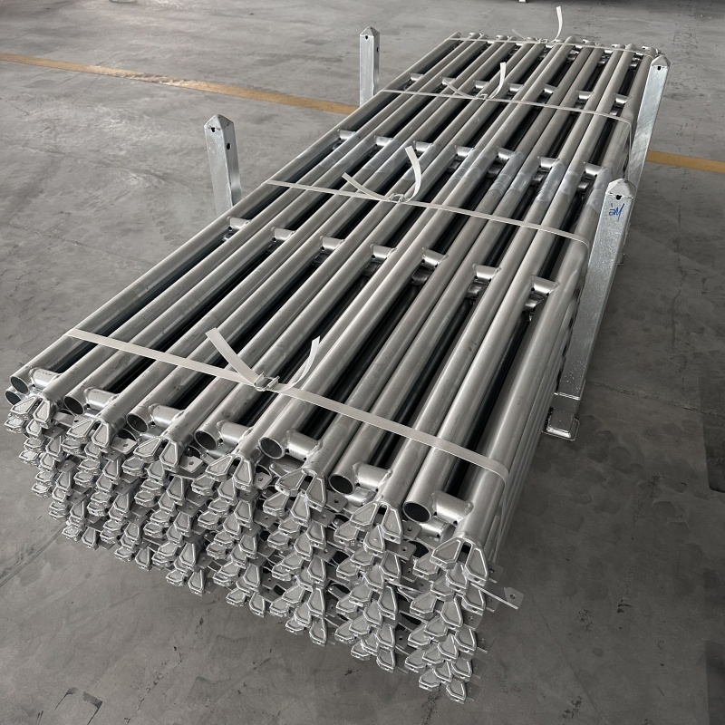 Ringlock Scaffolding Components Double Truss Ledgers Layher System