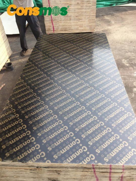 Linyi Consmos Factory Price 18mm Birch Core Black/Brown Concrete Formwork Marine Film Faced Plywood