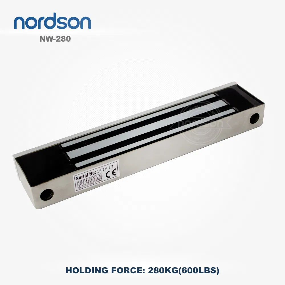 Stainless Steel Waterproof Outdoor 12/24VDC 280kg 600lbs Electric Magnetic Door Lock for Access Control System