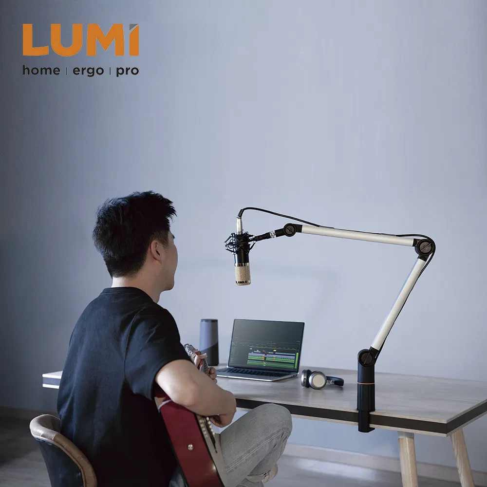 Настольный держатель для микрофона LUMI MDS06-2