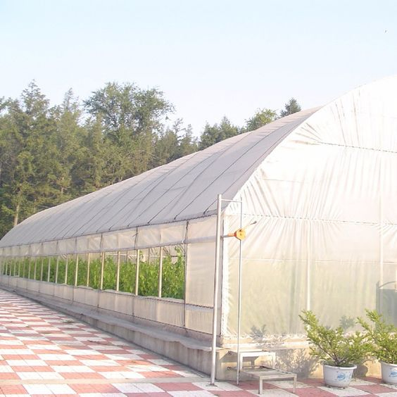 Plastic Film Tent Tunnel Greenhouse Steel Structure for Sale