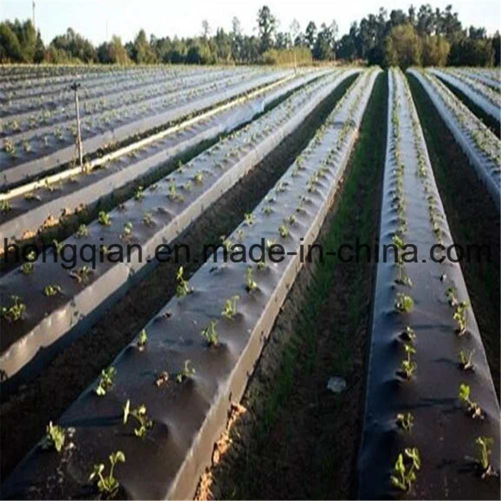 90GSM/100GSM UV Resistance Specification Landscape Anti Weed Mats Barrier/Weed Fabric PP Woven Geotextile Manufacturer Supply by Factory Wholesale Price