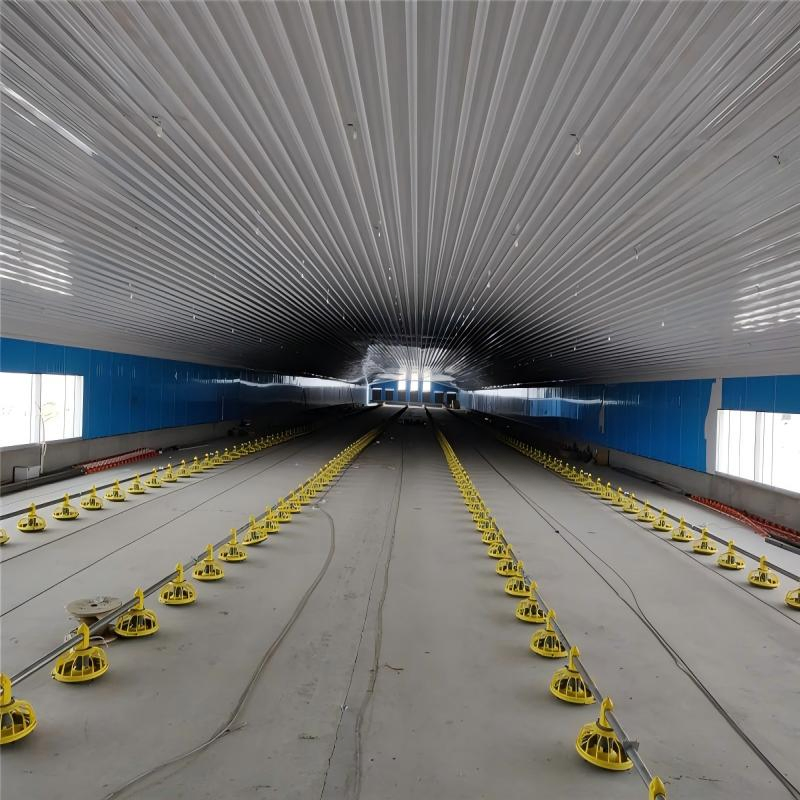 Prefabricated Light Prefab Steel Structure Farmhouse 125*15*3m Poultry Farm Chicken House Broiler Shed