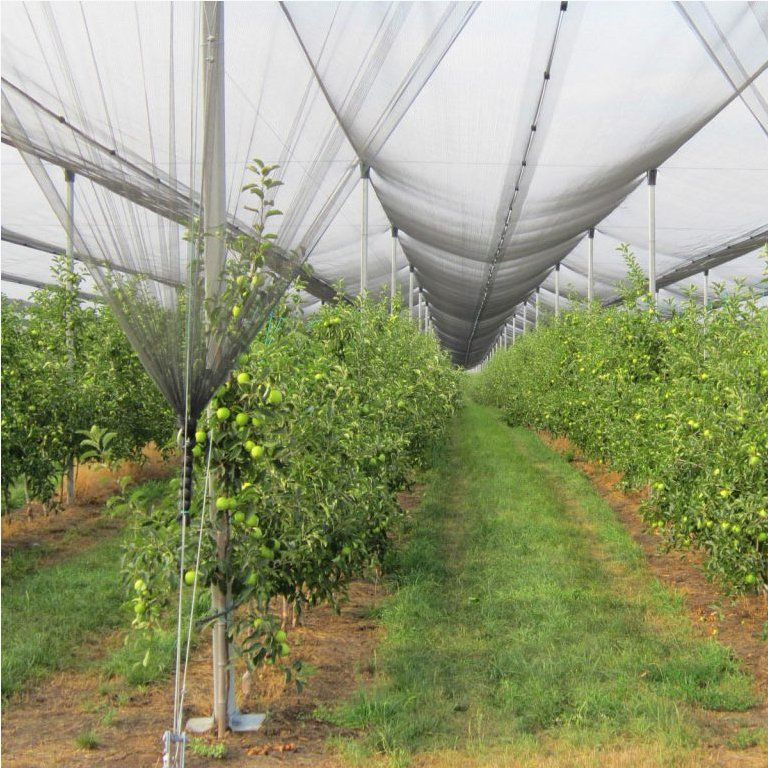 Защитная сетка от града для сада и яблок HDPE