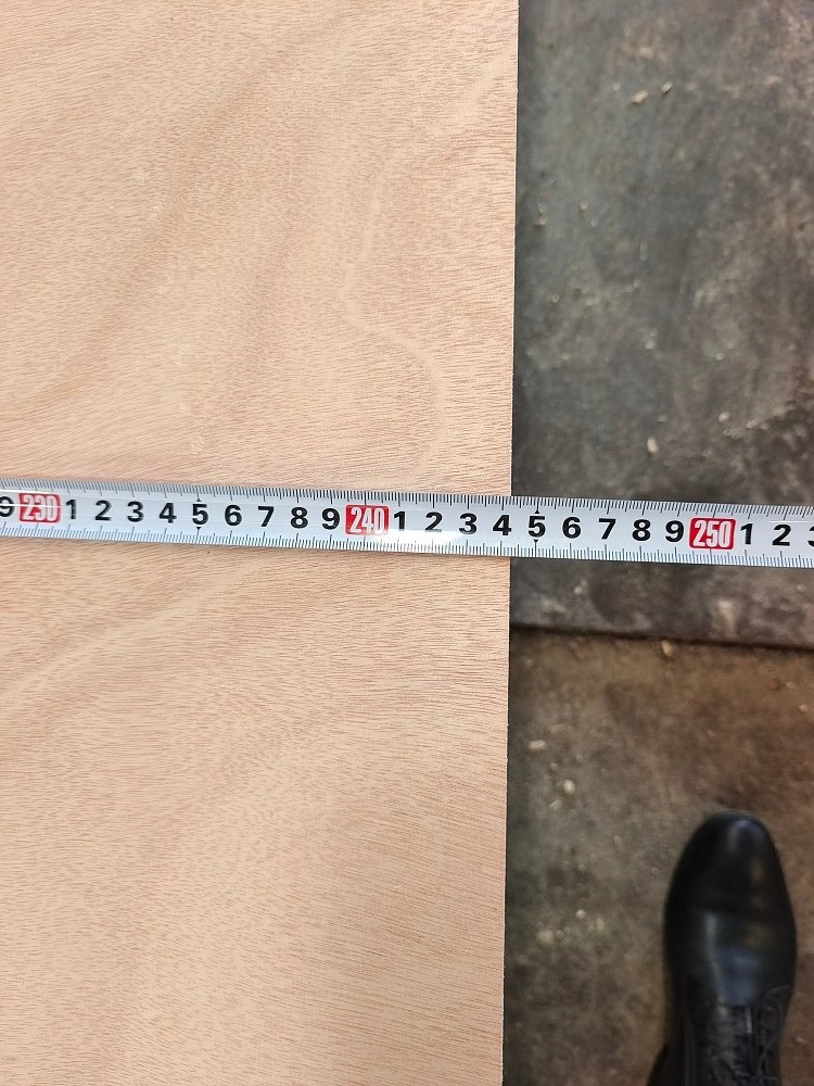 4X8 Commercial Plywood 18mm with Bintangor Okoume Veneer