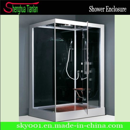 Lowes Walk in Bathroom Glass Shower Steam Enclosure (TL-8806)