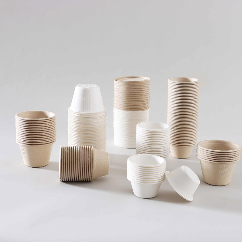 Biodegradable Takeaway Disposable Sauce Cup Food Container