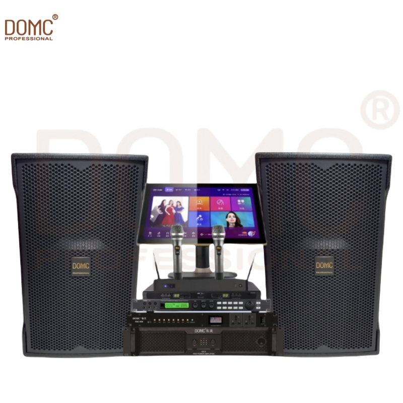 Premium 10-Inch Speaker for Clear Sound at Gatherings