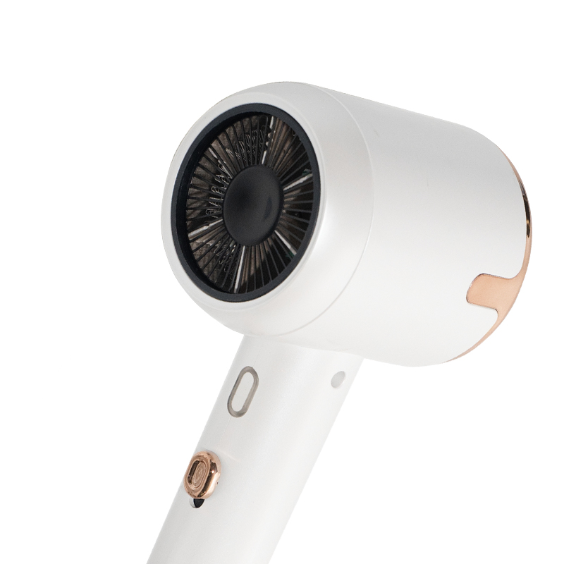 Personalizable Quick Drying Hair Dryer with CE Certification