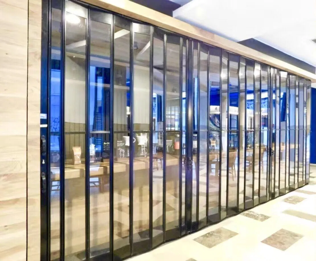 Прозрачная стеклянная гаражная дверь TOMA