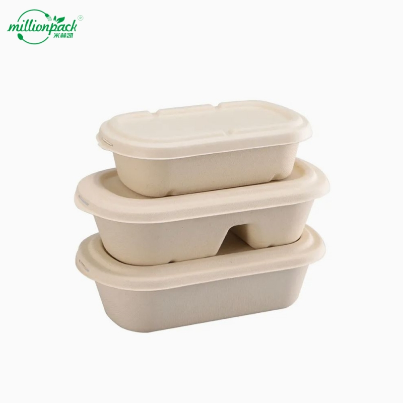 Biodegradable Lunch Box Curved-Edge Sugarcane Container for Easy Scooping