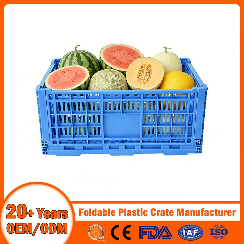 China Plastic Crate Manufacturer Stackable/Attached Lid /Nestable/Lobster/Bale Arm/EU/Euo Moving Mesh Turnover Logistic/Bread/Egg/Beer Tote Plastic Crate
